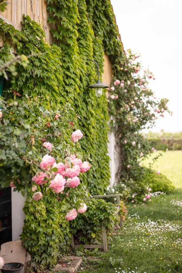La Casa Vecchia B&B Camisano Vicentino Εξωτερικό φωτογραφία