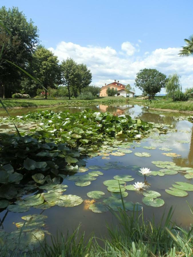 La Casa Vecchia B&B Camisano Vicentino Εξωτερικό φωτογραφία
